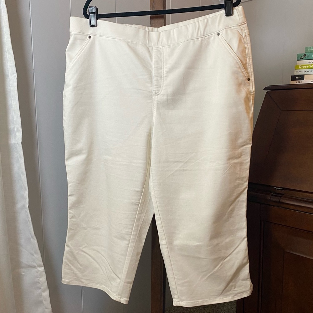 Intro. ❤️ love the fit Women's Rose Capri Power Stretch Tummy Control Pull-On